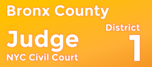 Civil Court Judge - Bronx 1