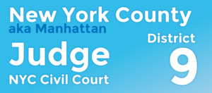 Civil Court Judge - New York 9