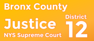 Supreme Court Justice - Bronx 12